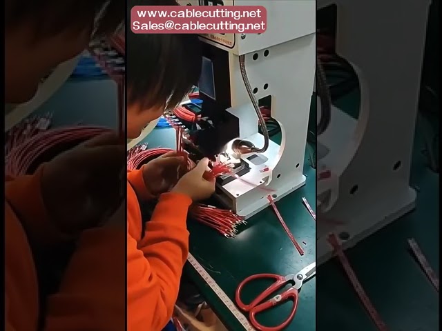 Free sample Pre Insulated Male Spade Terminal Blue Color Crimp Wire Connector