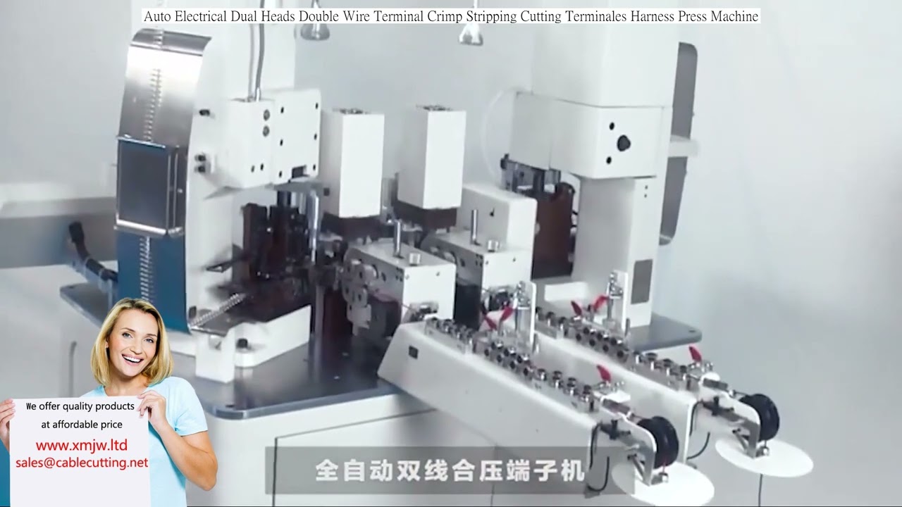 Automatic Electrical Dual-Head Double Wire Terminal Crimping Stripping Cutting Machine