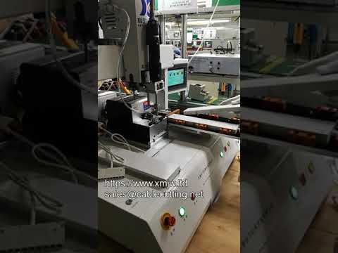 High Accuracy Desktop Automatic Screwing Machine Multi Station For Two Kinds Screws Locking Assembly