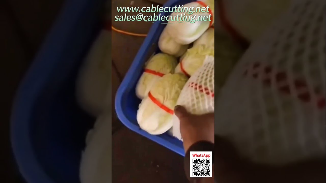 Automatic Wire Processing and Packaging Machine for Factory Automation