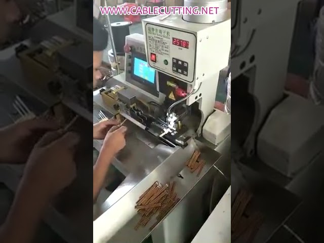 Crimping Press