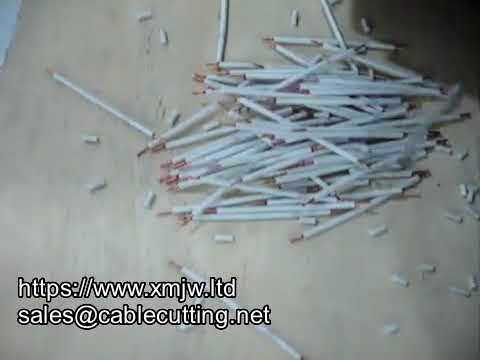 WPM 06 High Efficiency Automatic Dual Channels Wire Stripping Cutting Twisting Machine