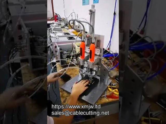 Double Head Desk Z Axis Moving Electric Screwdriver With Auto Feeding System