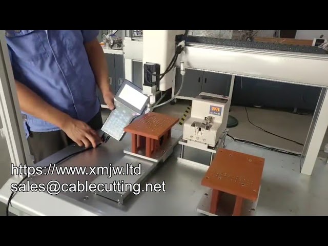 6331 Large Intelligent Servo Motor Tightening Screw Machine Floor Type Locking Screw Machine Automat